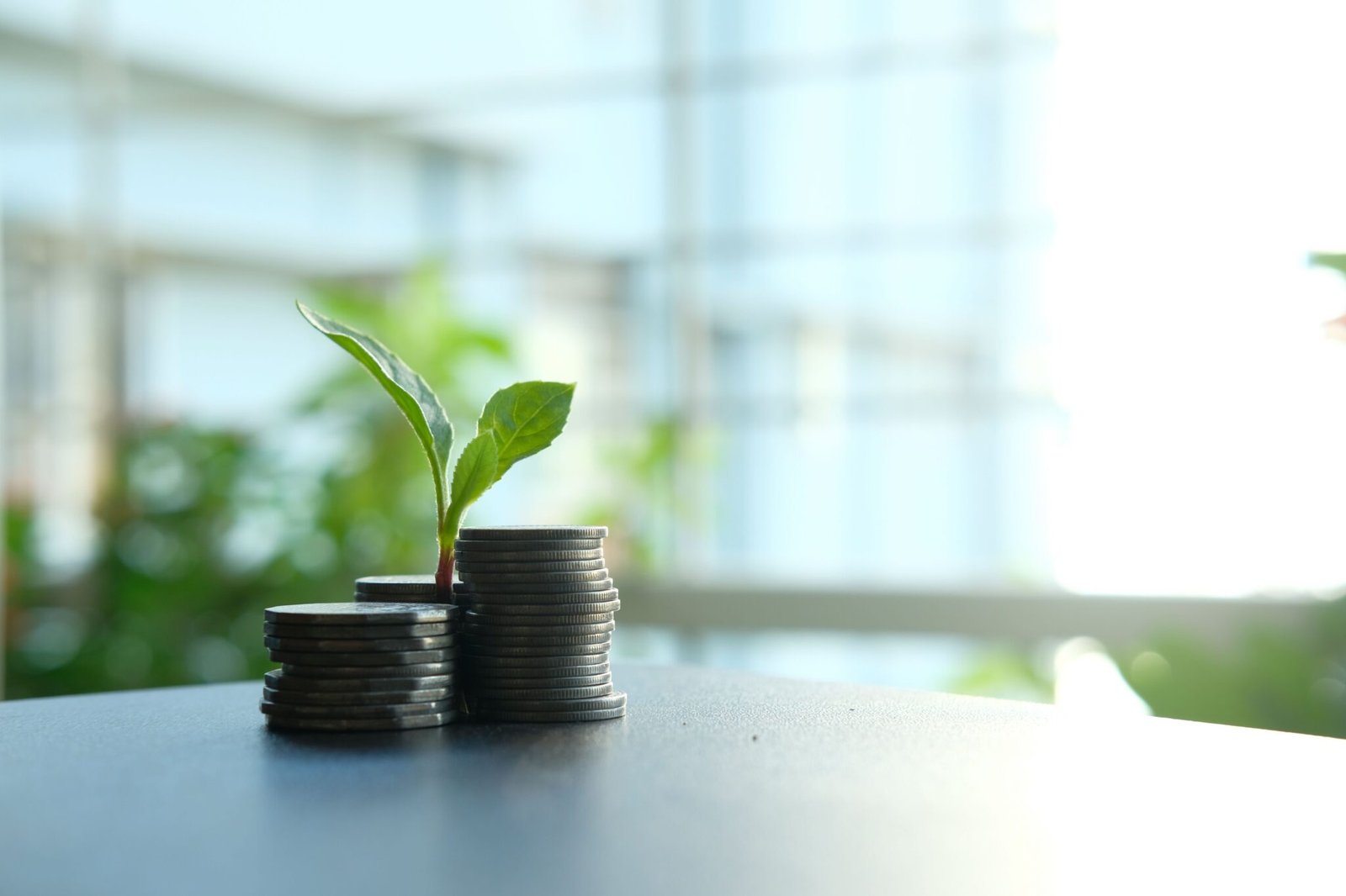 Schlein tasse investimenti 26%